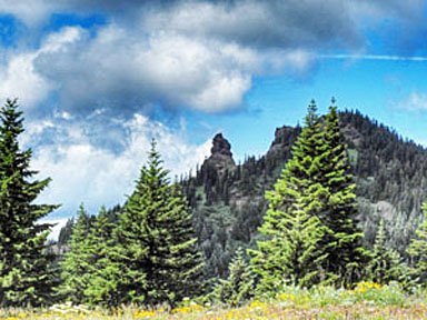 iron mtn from cone peak graphic